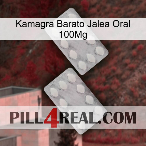 Cheap Kamagra Oral Jelly 100Mg 17.jpg